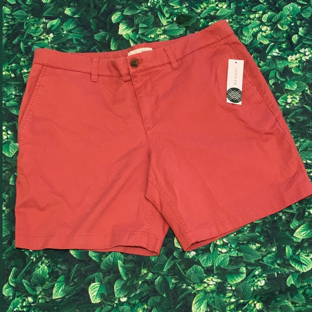 Men Stitch Fix Shorts